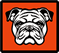 logo-icon